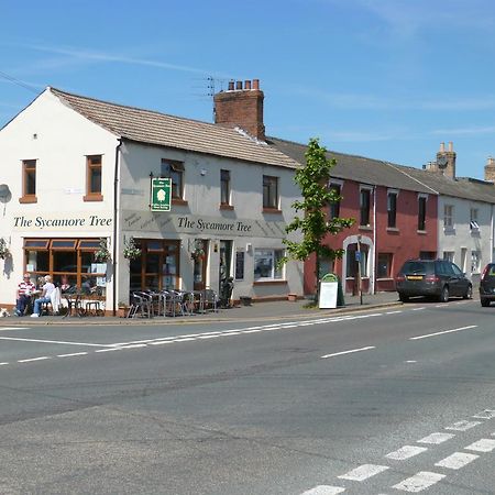 The Sycamore Tree Longtown Buitenkant foto